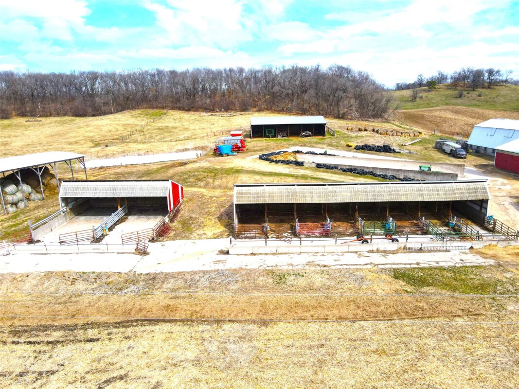 Farm at N41286 Halama Road, Independence, WI 54747 — photo 16