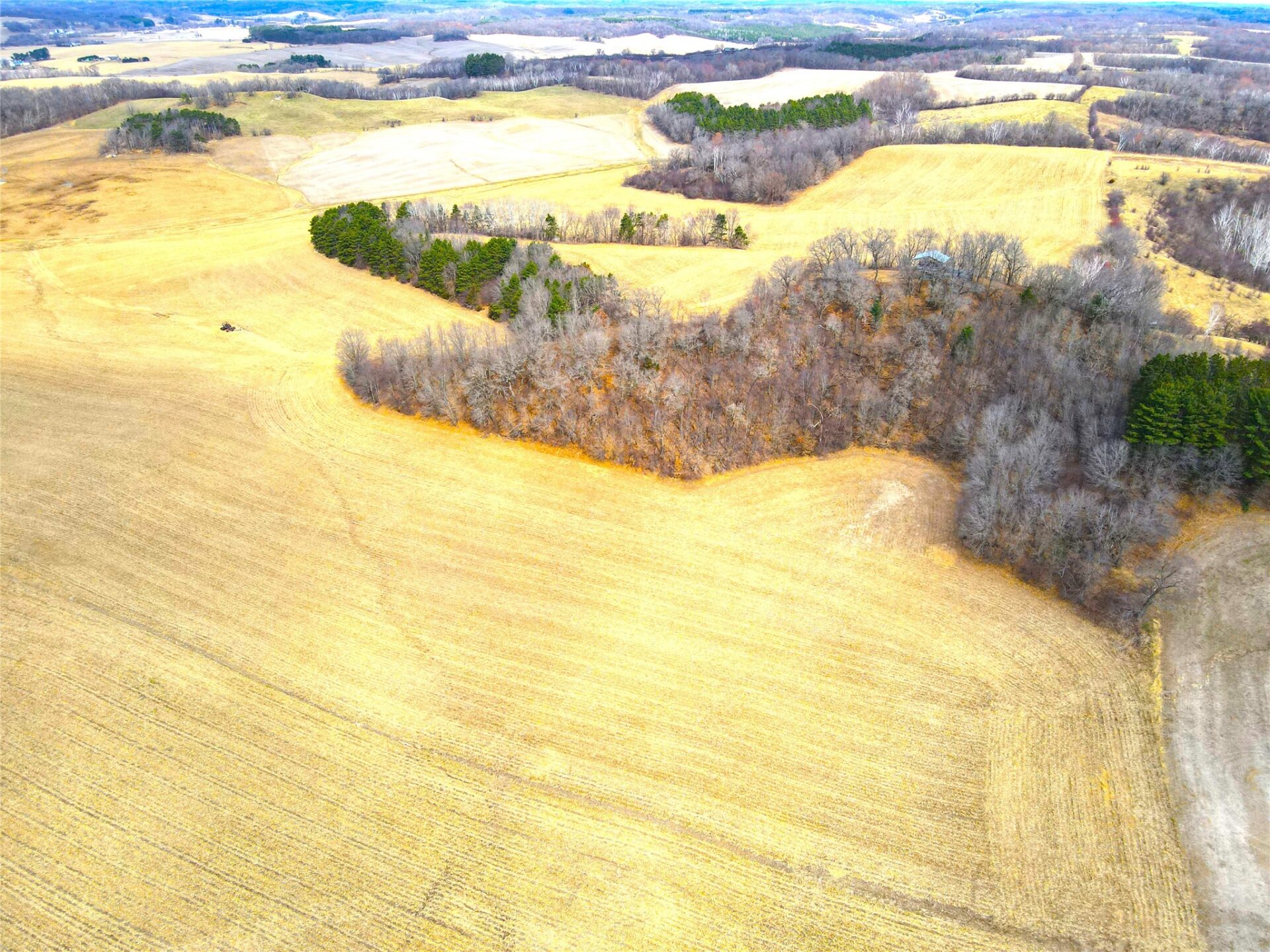 Farm at N41286 Halama Road, Independence, WI 54747 — photo 19