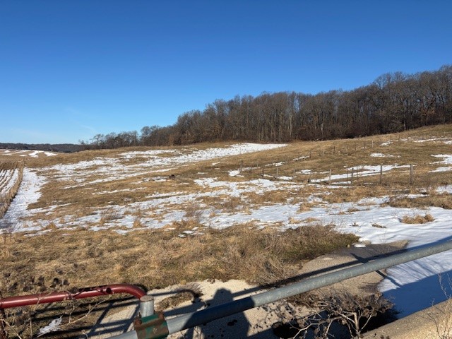 Farm at N41286 Halama Road, Independence, WI 54747 — photo 22