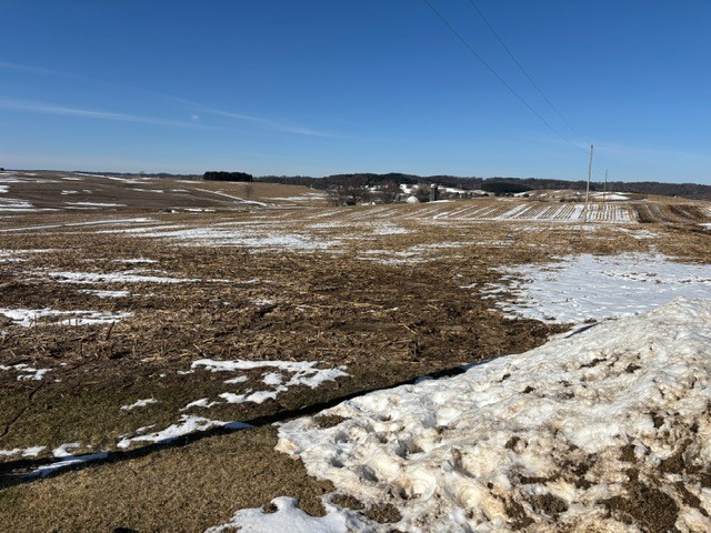 Farm at N41286 Halama Road, Independence, WI 54747 — photo 54