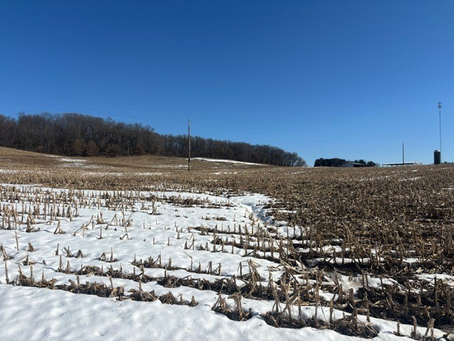 Farm at N41286 Halama Road, Independence, WI 54747 — photo 60