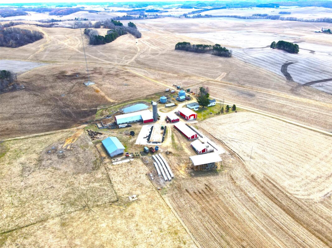 Farm at N41286 Halama Road, Independence, WI 54747 — photo 7