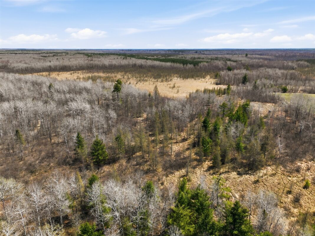 N4280 County Rd E, Bruce, WI — photo 13
