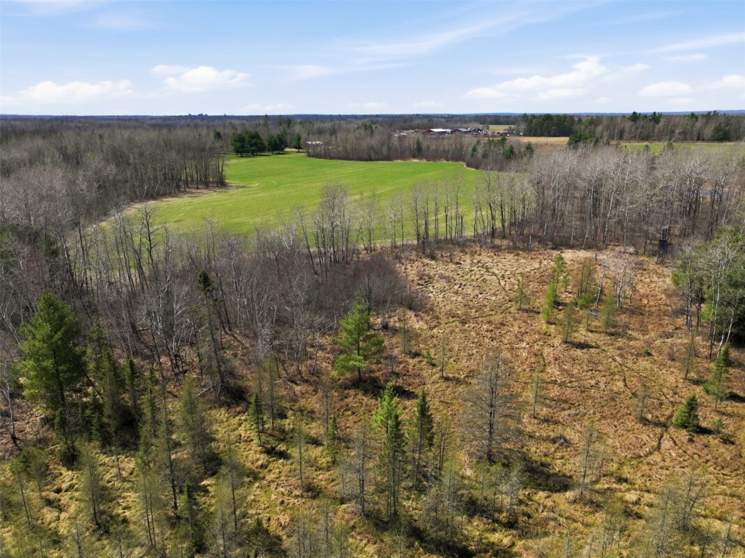 N4280 County Rd E, Bruce, WI — photo 14
