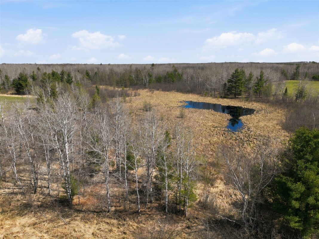 N4280 County Rd E, Bruce, WI — photo 18