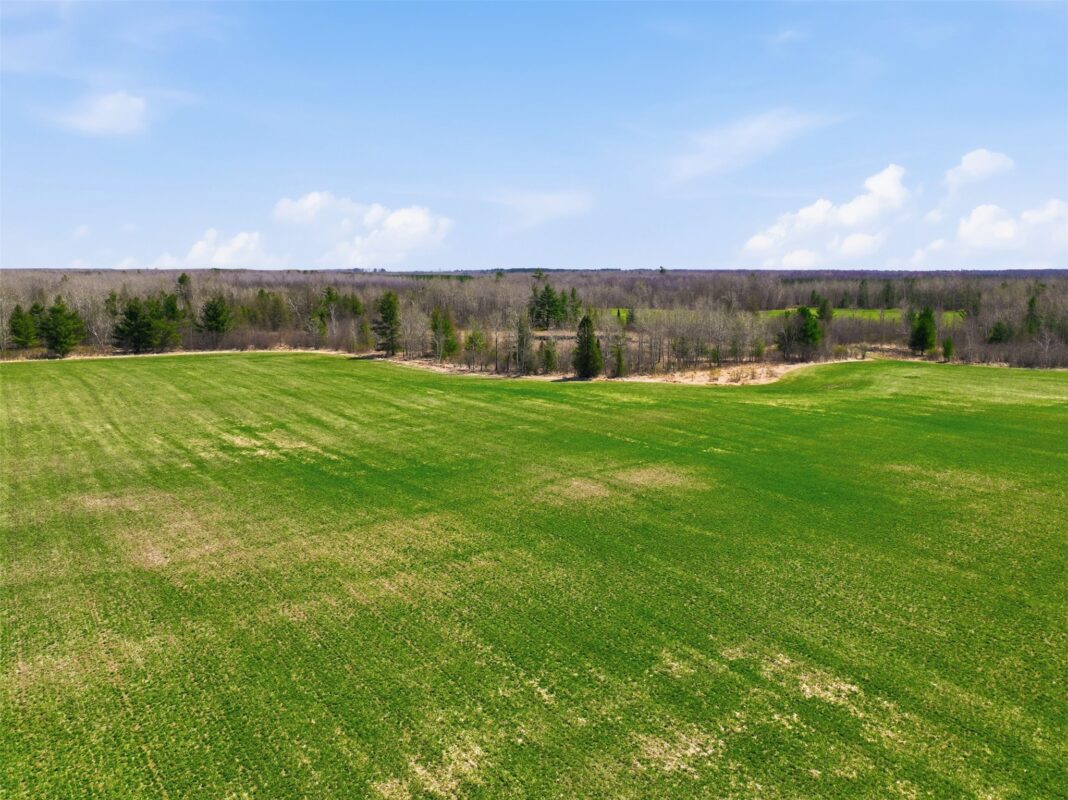 N4280 County Rd E, Bruce, WI — photo 3