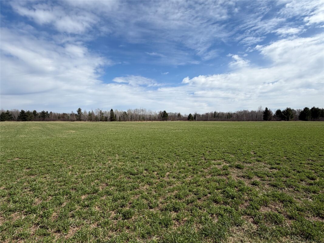 N4280 County Rd E, Bruce, WI — photo 25