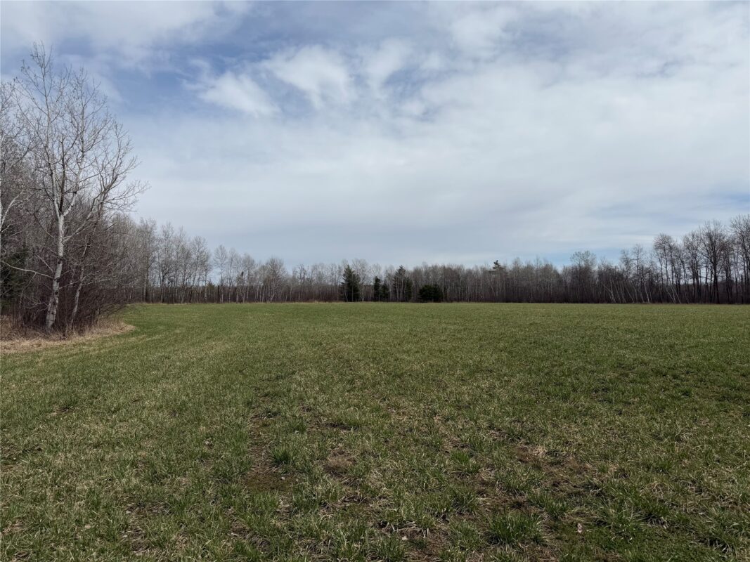 N4280 County Rd E, Bruce, WI — photo 27
