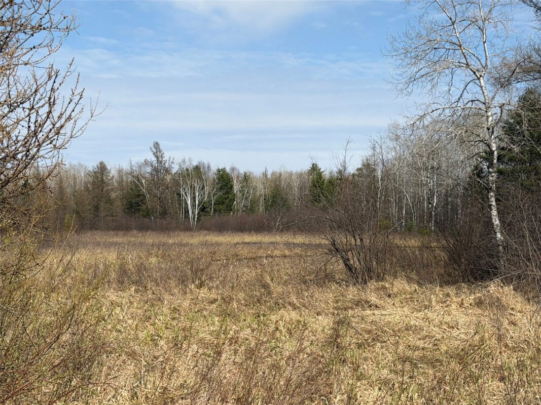 N4280 County Rd E, Bruce, WI — photo 28