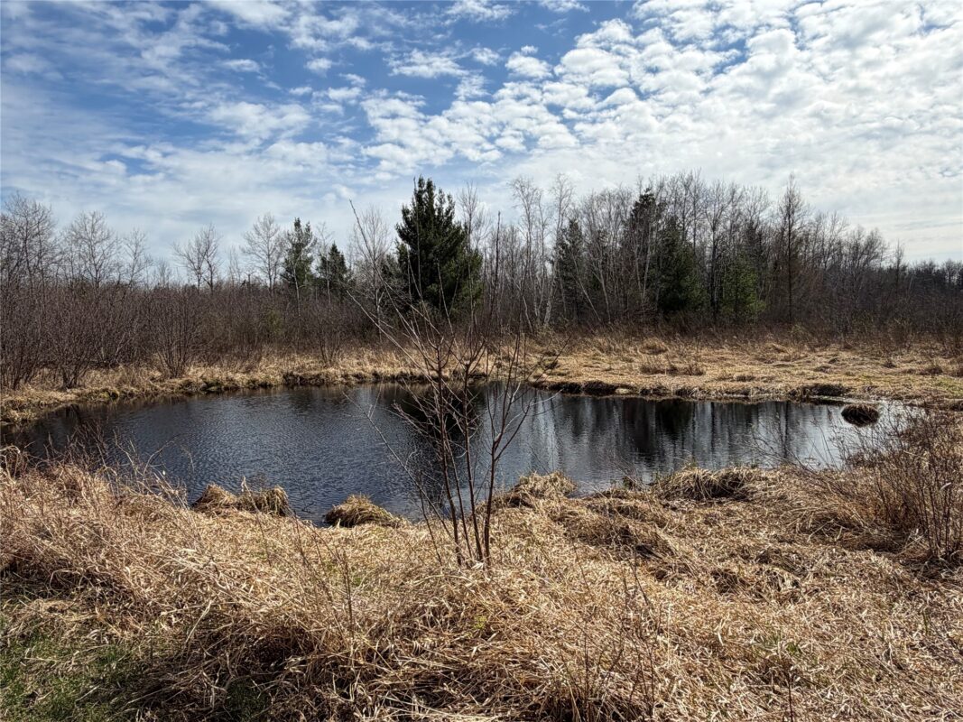 N4280 County Rd E, Bruce, WI — photo 29
