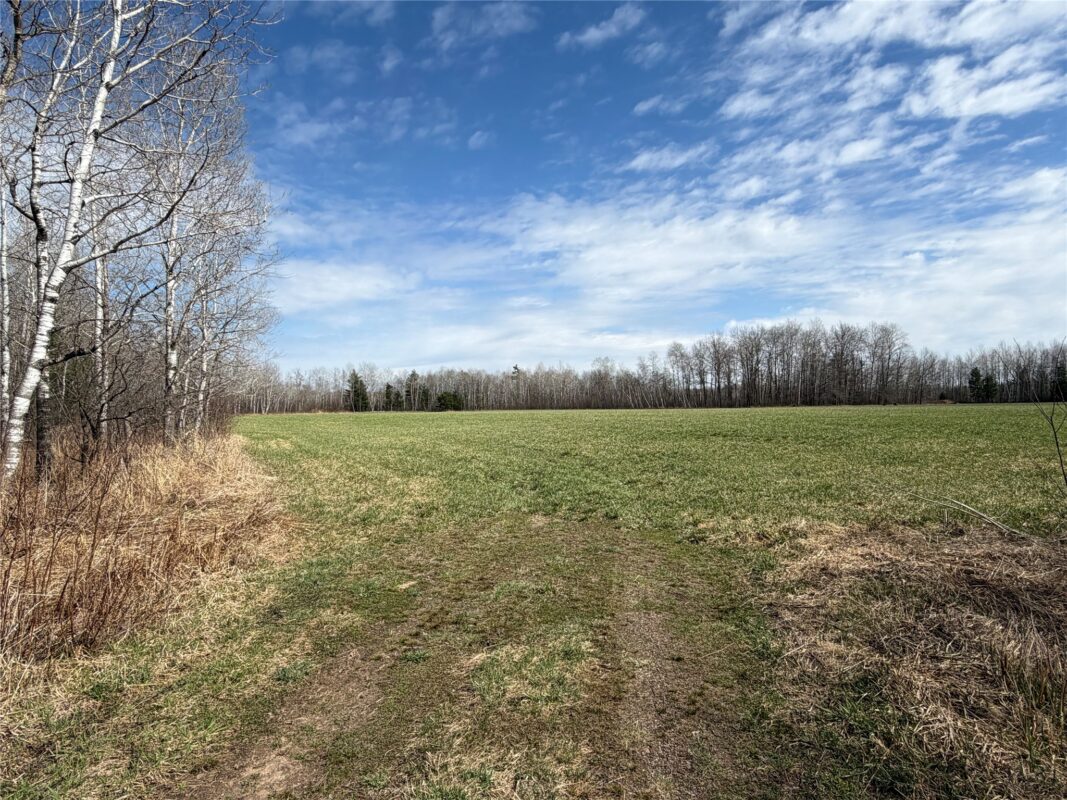 N4280 County Rd E, Bruce, WI — photo 31