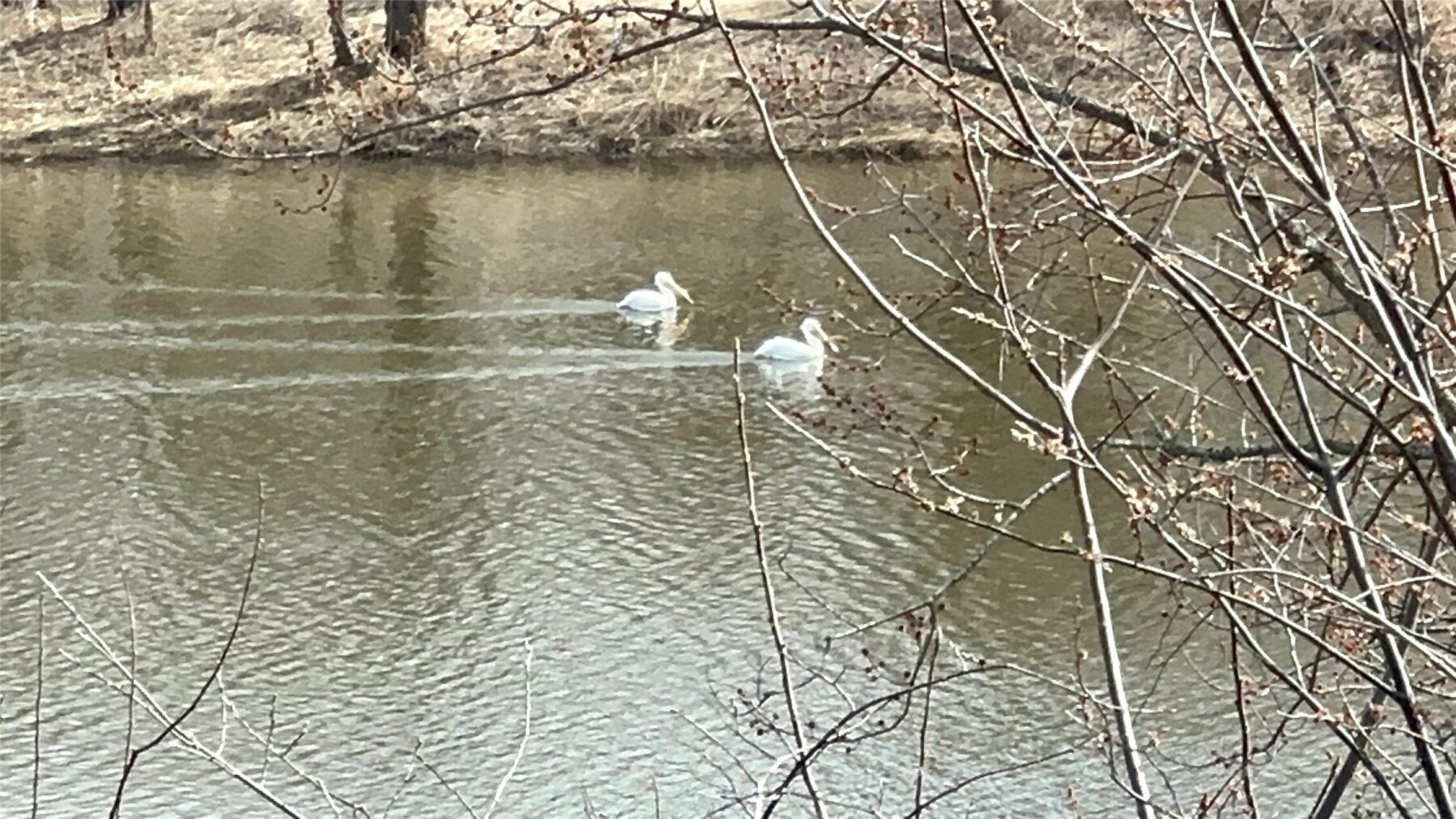 Land at N4548 County Road N, Arkansaw, WI 54721 — photo 2