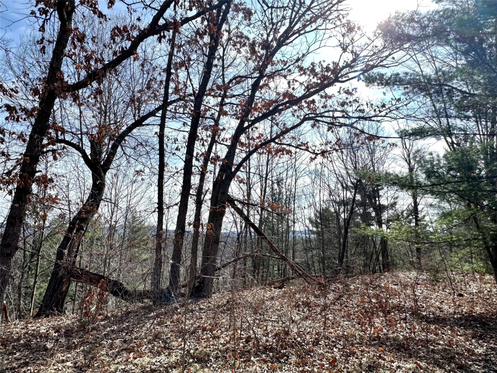 Land at N4548 County Road N, Arkansaw, WI 54721 — photo 11