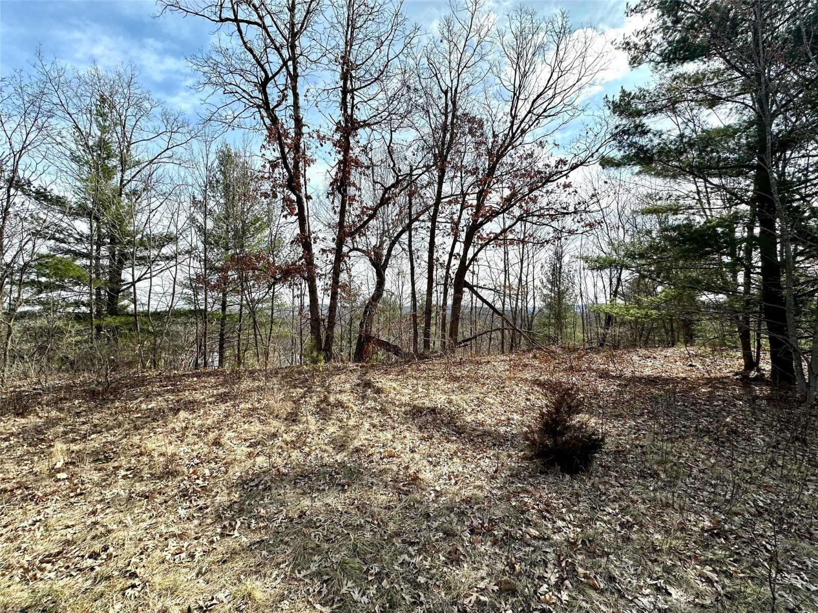 Land at N4548 County Road N, Arkansaw, WI 54721 — photo 13