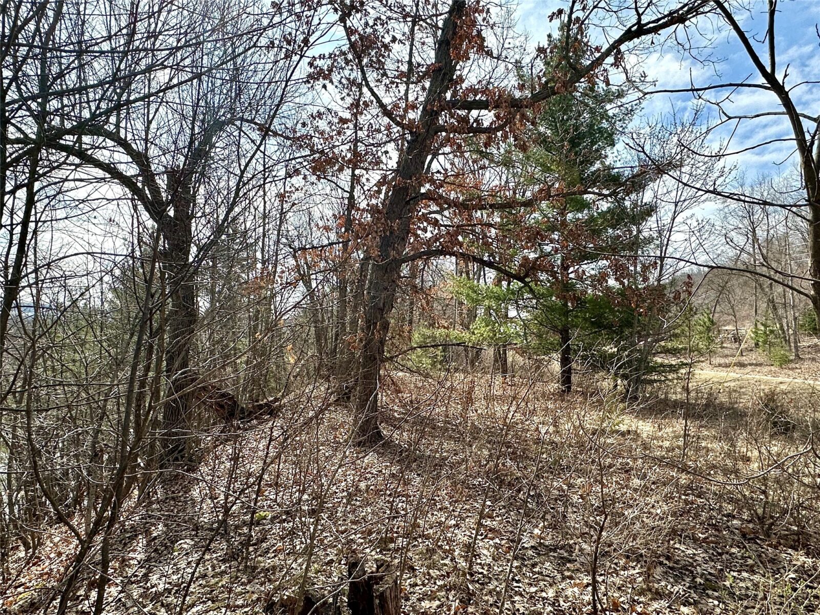 Land at N4548 County Road N, Arkansaw, WI 54721 — photo 16