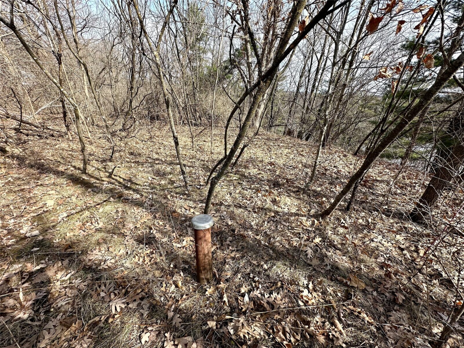 Land at N4548 County Road N, Arkansaw, WI 54721 — photo 18