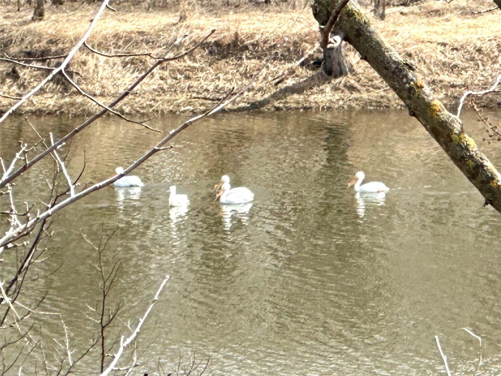 Land at N4548 County Road N, Arkansaw, WI 54721 — photo 4