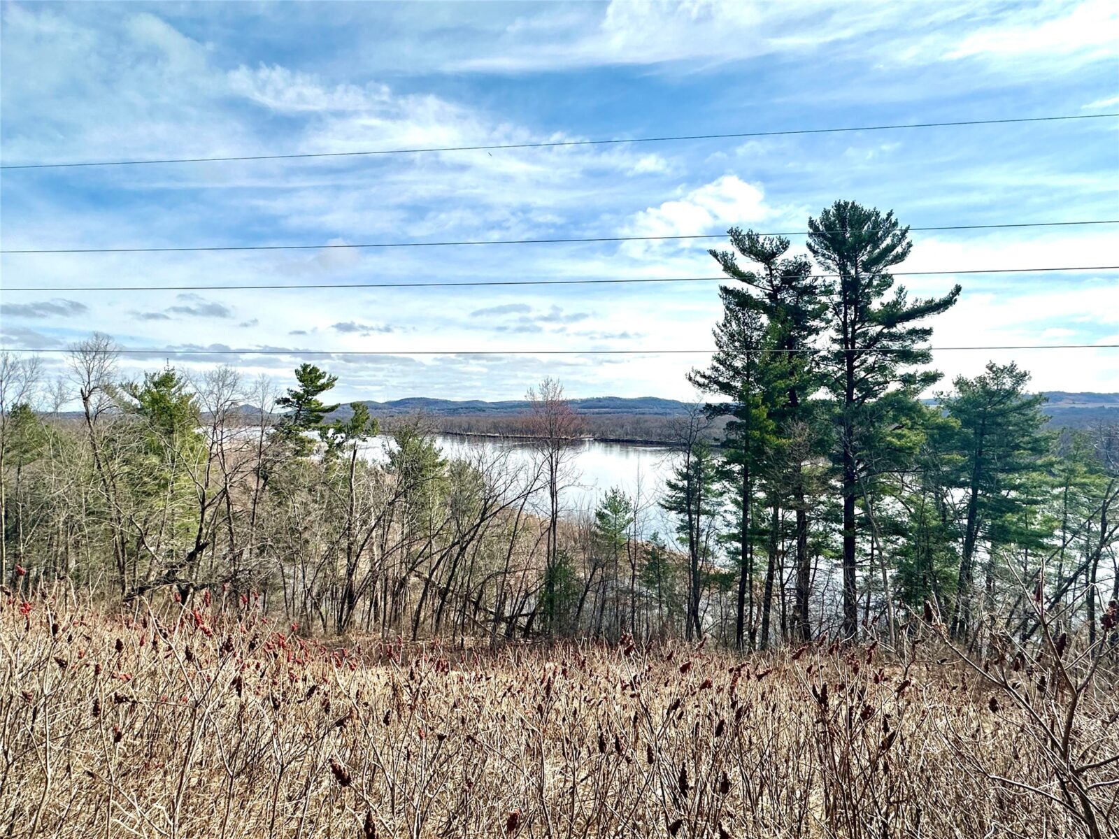 Land at N4548 County Road N, Arkansaw, WI 54721 — photo 5