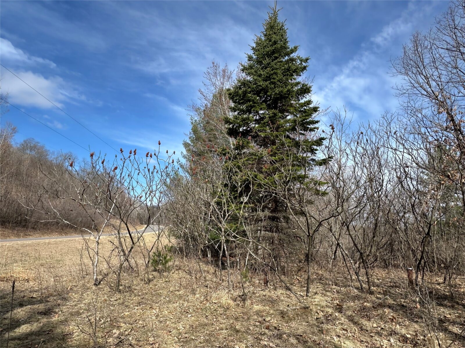 Land at N4548 County Road N, Arkansaw, WI 54721 — photo 6