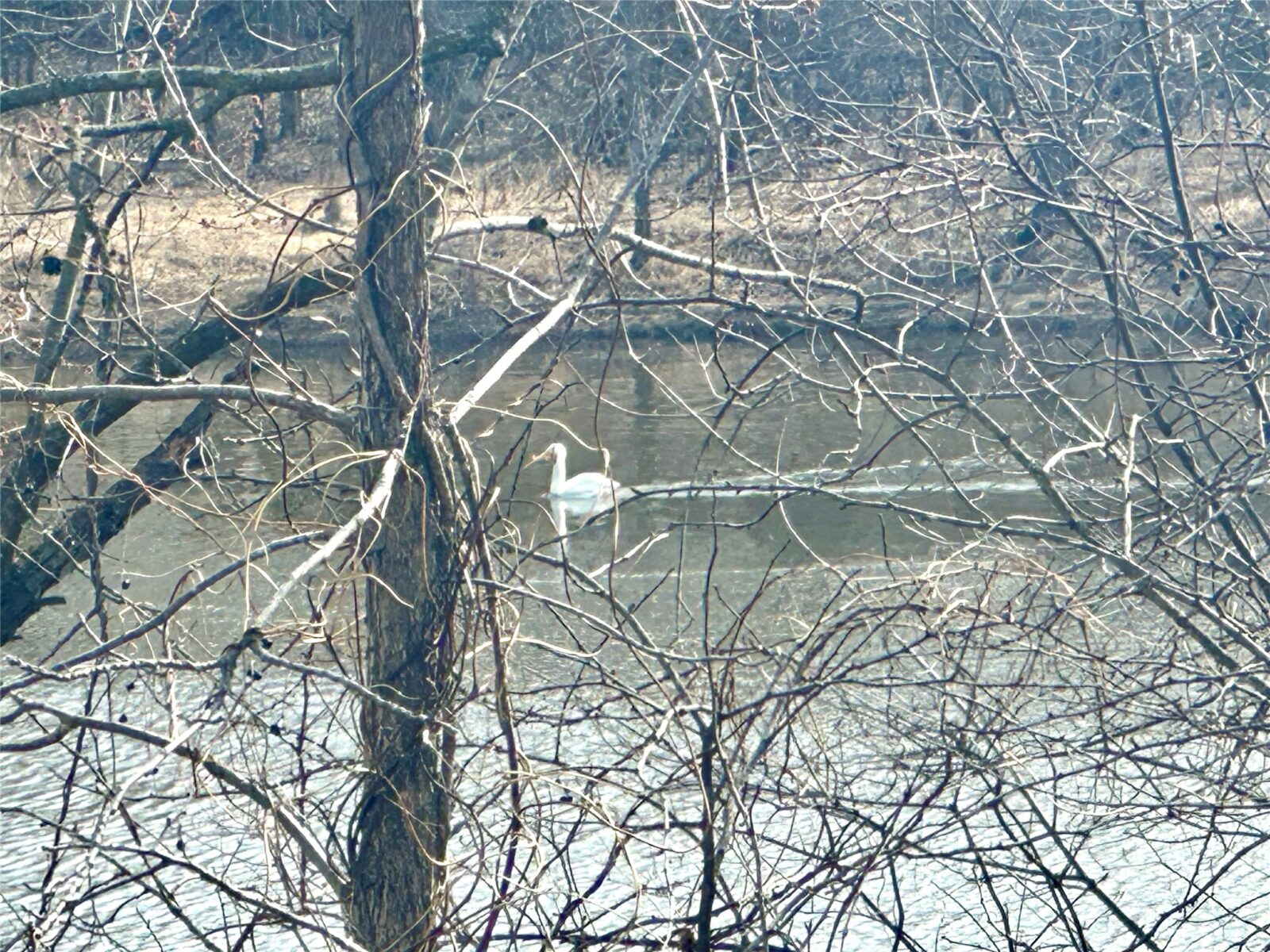 Land at N4548 County Road N, Arkansaw, WI 54721 — photo 8