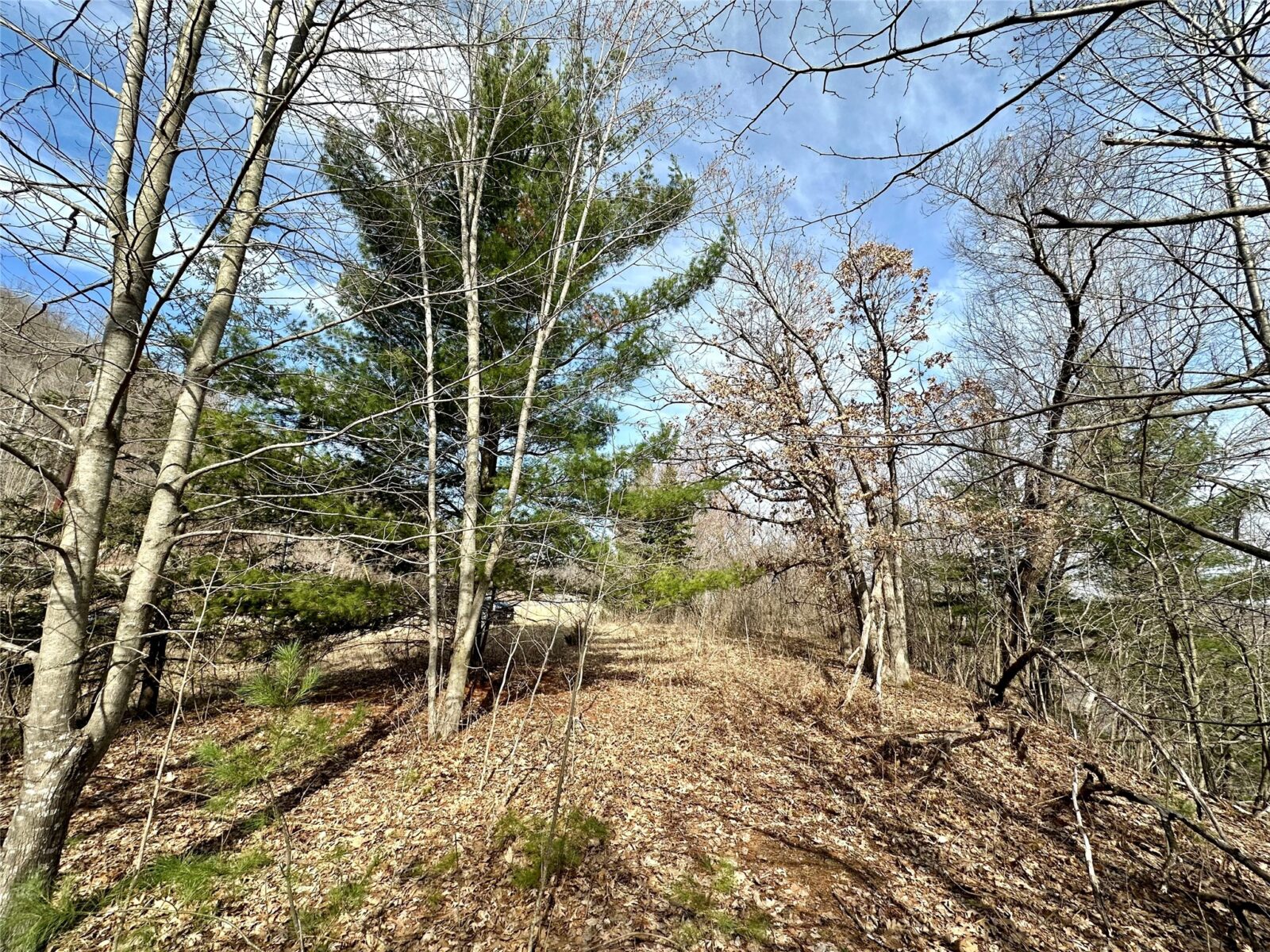 Land at N4548 County Road N, Arkansaw, WI 54721 — photo 10