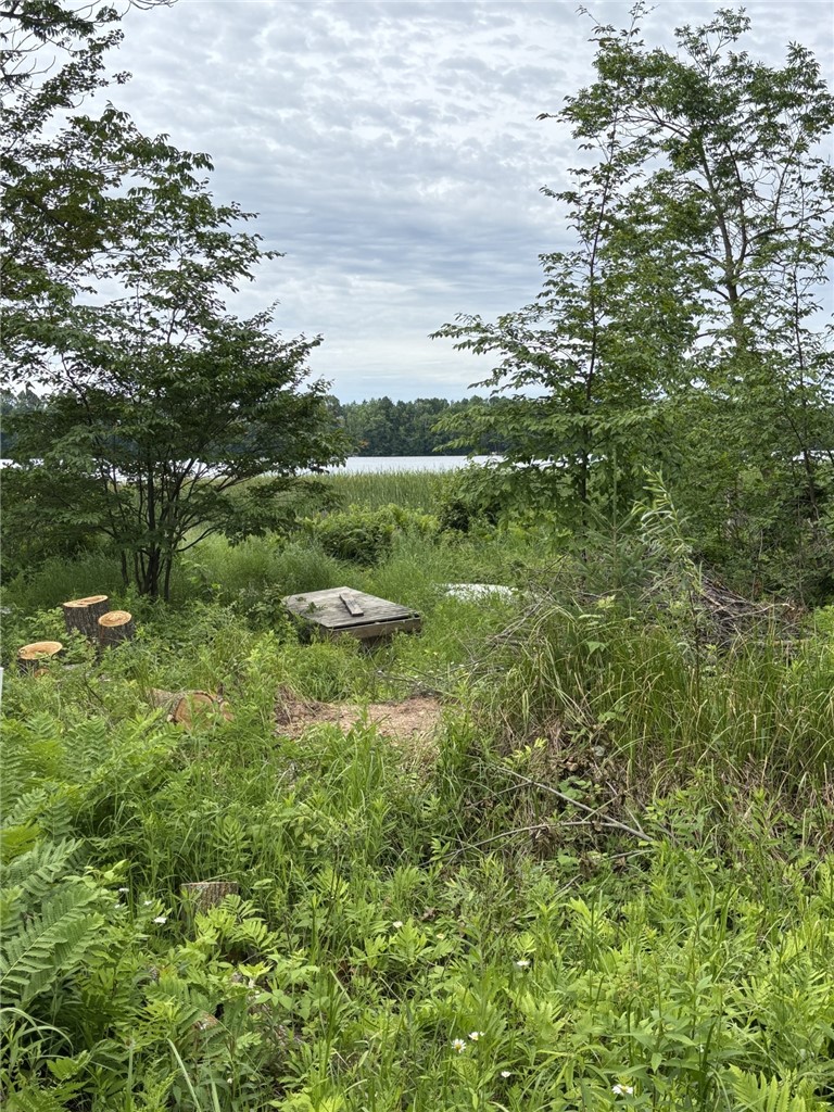 Residential at N6004 Thronson Drive, Ladysmith, WI 54848 — photo 2