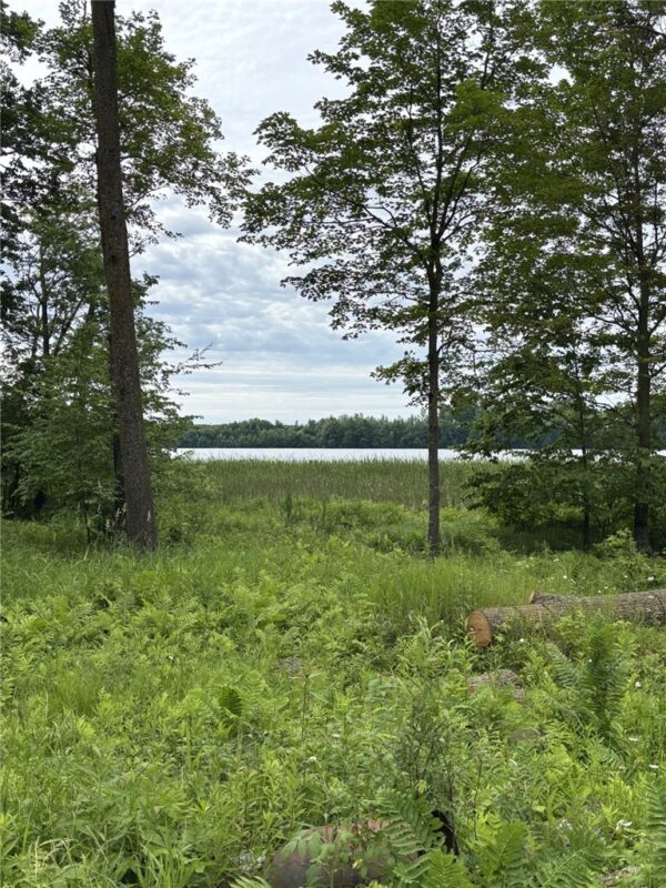 Residential at N6004 Thronson Drive, Ladysmith, WI 54848 — photo 3