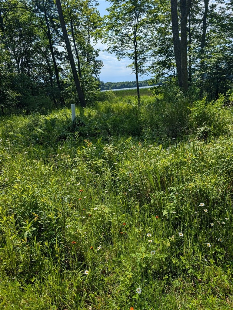 Residential at N6004 Thronson Drive, Ladysmith, WI 54848 — photo 4