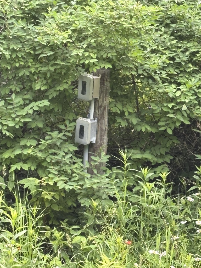 Residential at N6004 Thronson Drive, Ladysmith, WI 54848 — photo 6