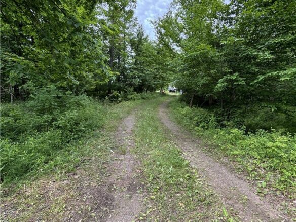 Residential at N6004 Thronson Drive, Ladysmith, WI 54848 — photo 1