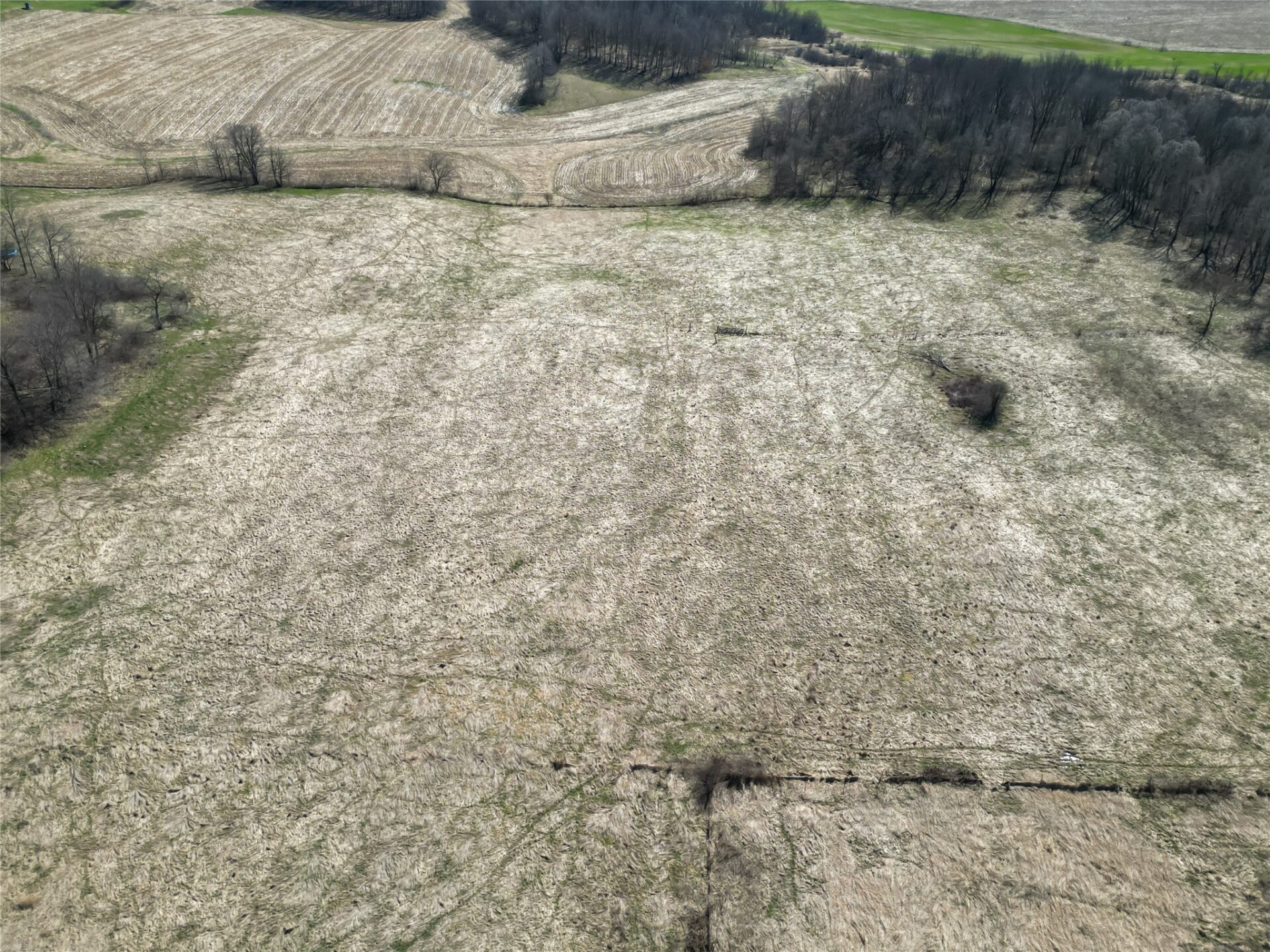 Land at N8726 380th Street, Boyceville, WI 54725 — photo 23