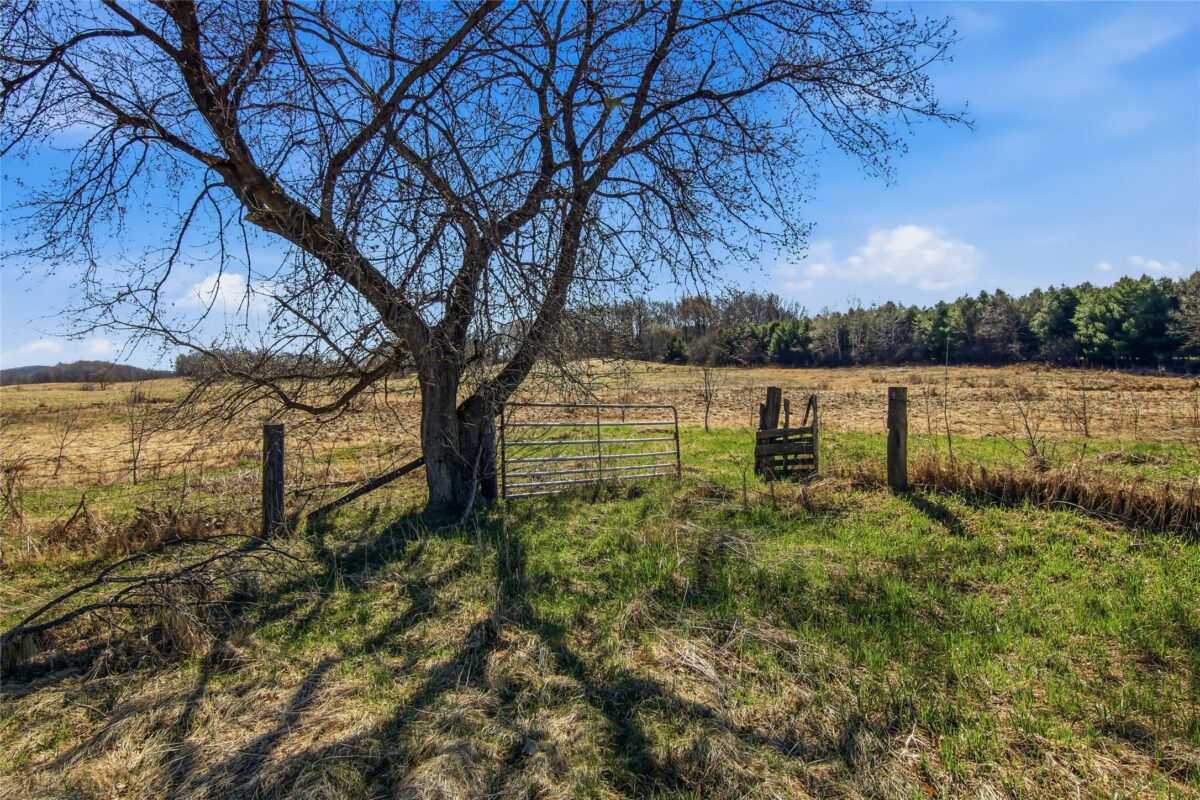 Land at N8726 380th Street, Boyceville, WI 54725 — photo 38