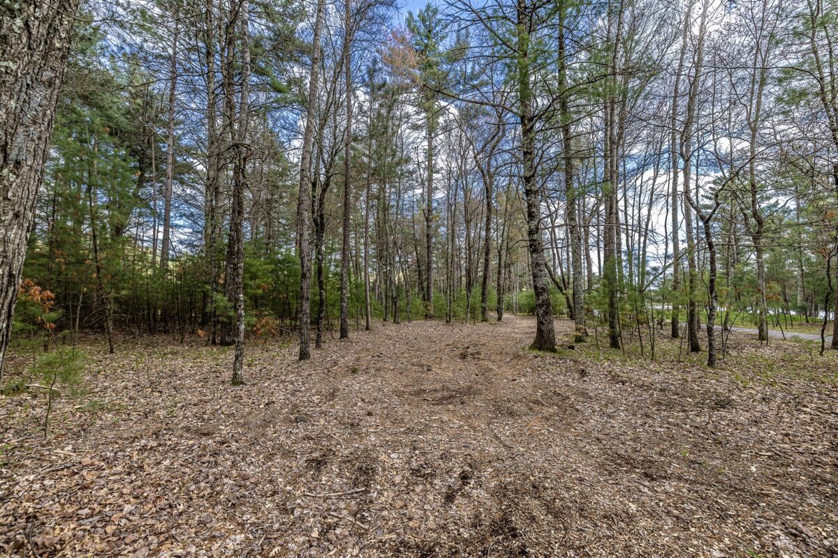 N9350 Buckhorn Drive, Hatfield, WI — photo 5