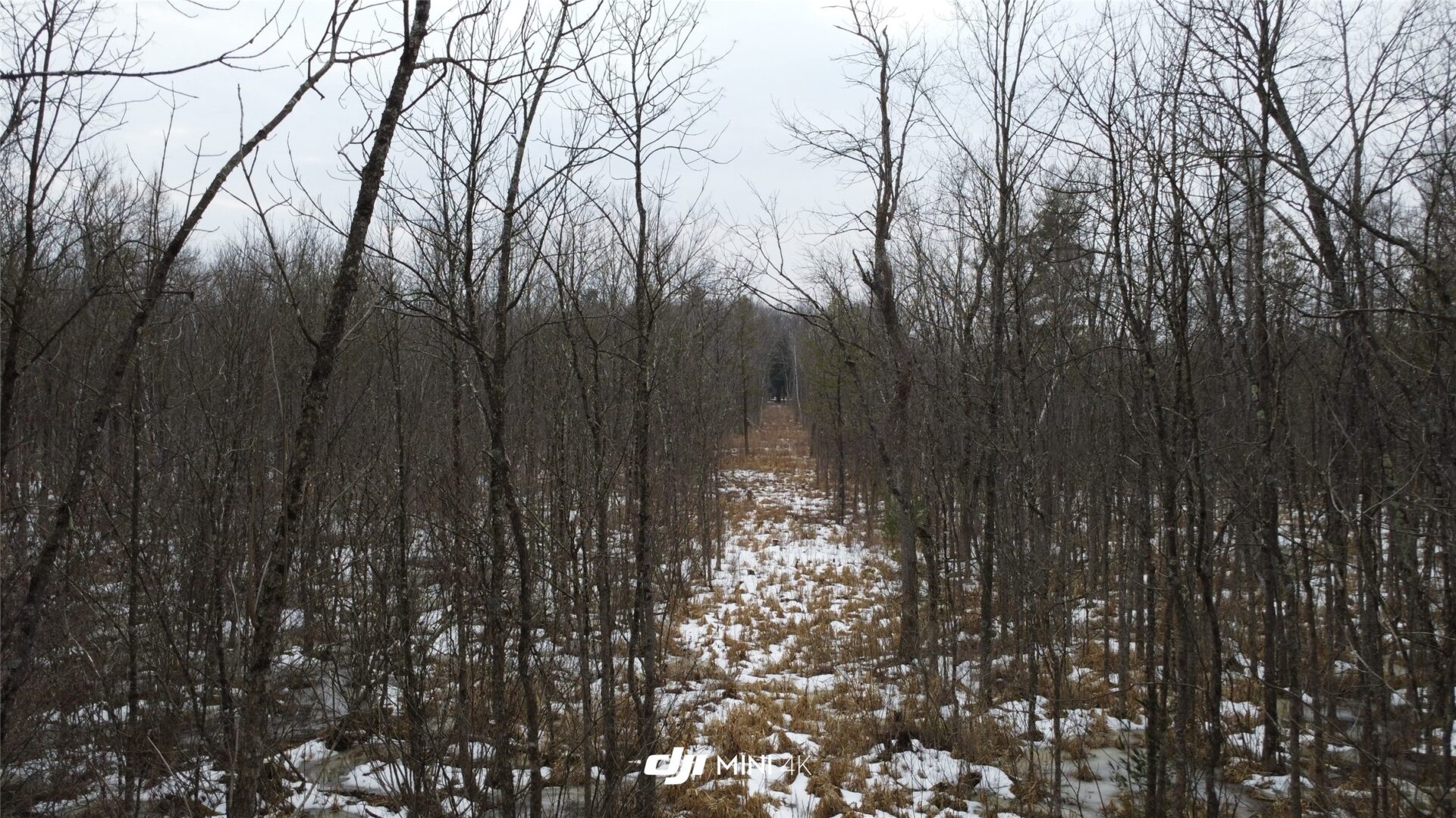Land at OOO LAKE RD, Clintonville, WI 54929 — photo 2