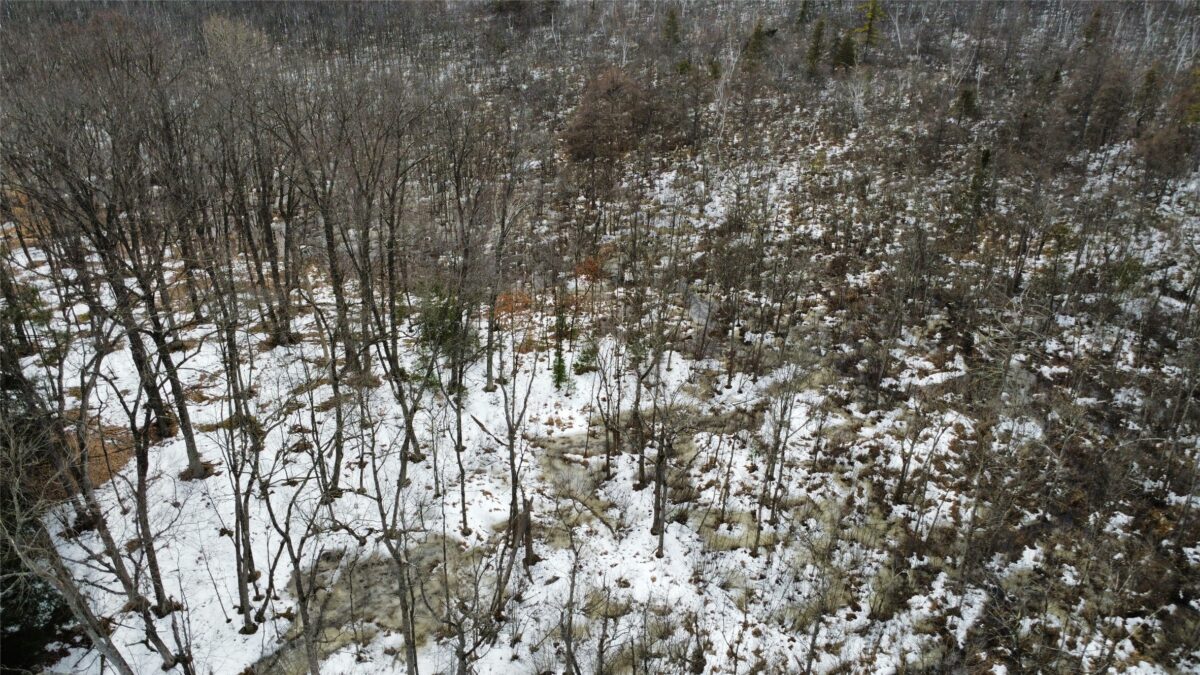 Land at OOO LAKE RD, Clintonville, WI 54929 — photo 11