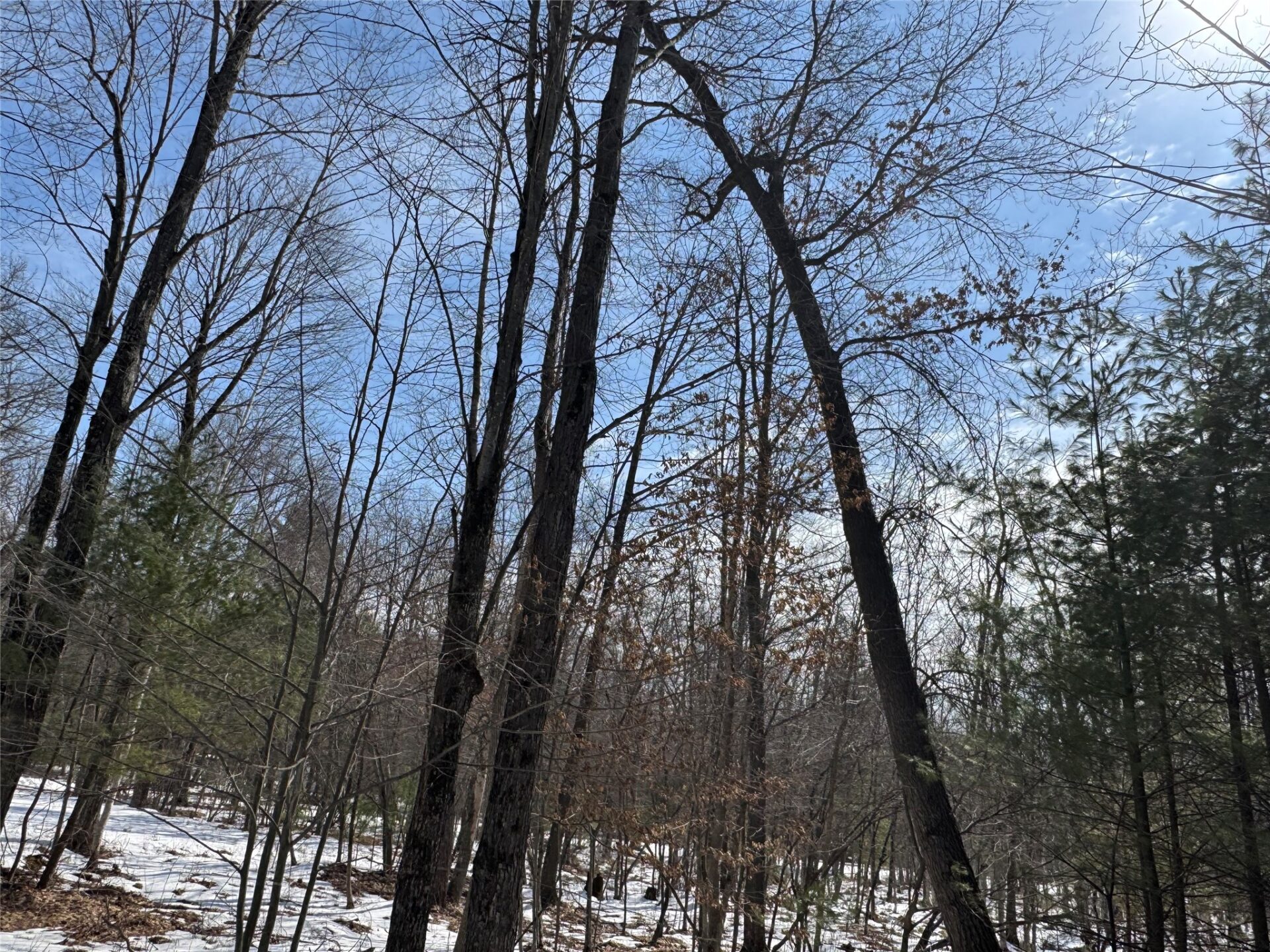 Land at OOO LAKE RD, Clintonville, WI 54929 — photo 12