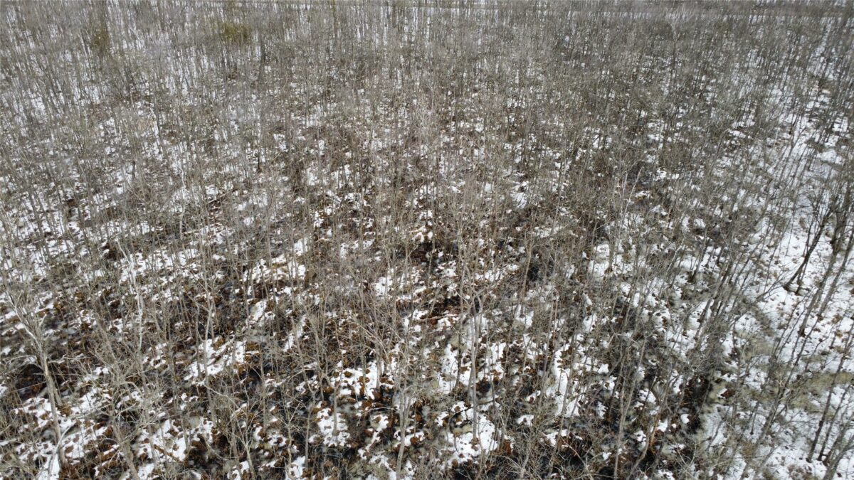 Land at OOO LAKE RD, Clintonville, WI 54929 — photo 13