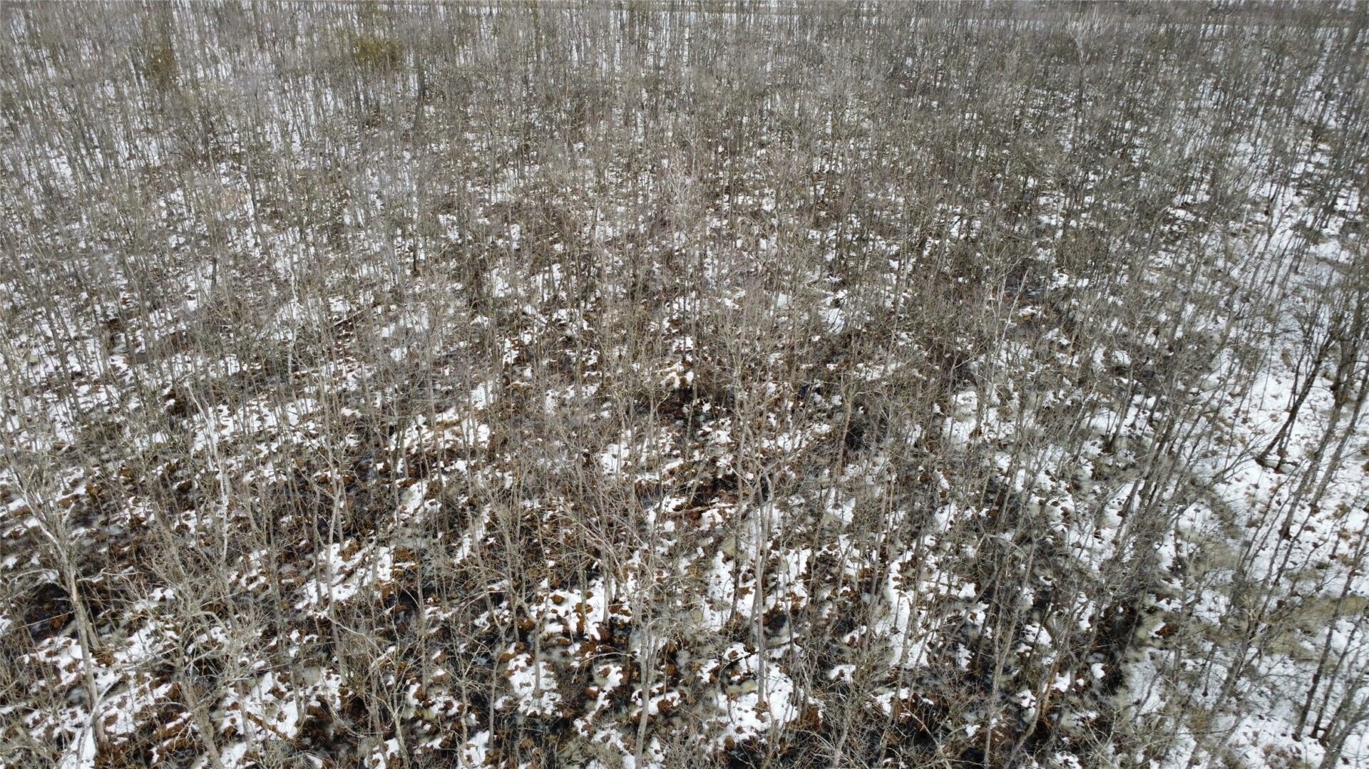 Land at OOO LAKE RD, Clintonville, WI 54929 — photo 13