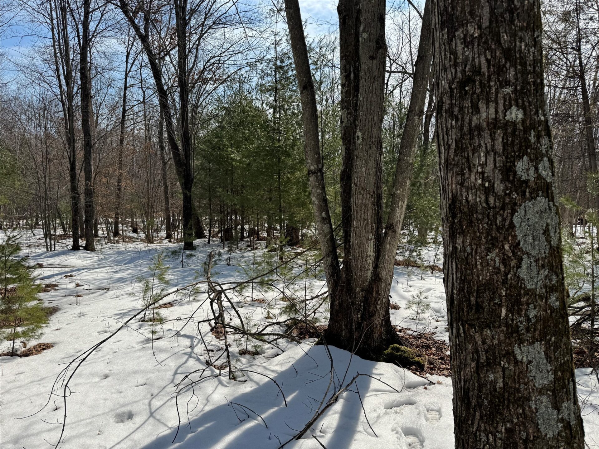 Land at OOO LAKE RD, Clintonville, WI 54929 — photo 14