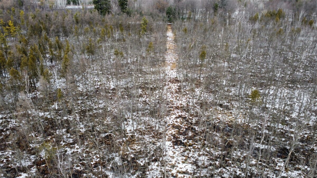 Land at OOO LAKE RD, Clintonville, WI 54929 — photo 15