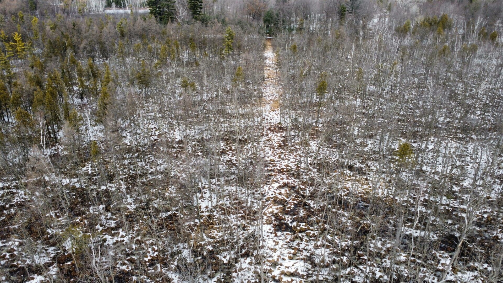 Land at OOO LAKE RD, Clintonville, WI 54929 — photo 15