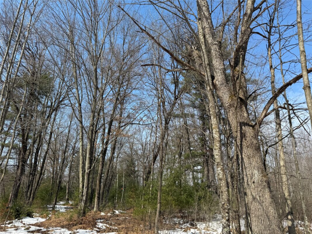 Land at OOO LAKE RD, Clintonville, WI 54929 — photo 17