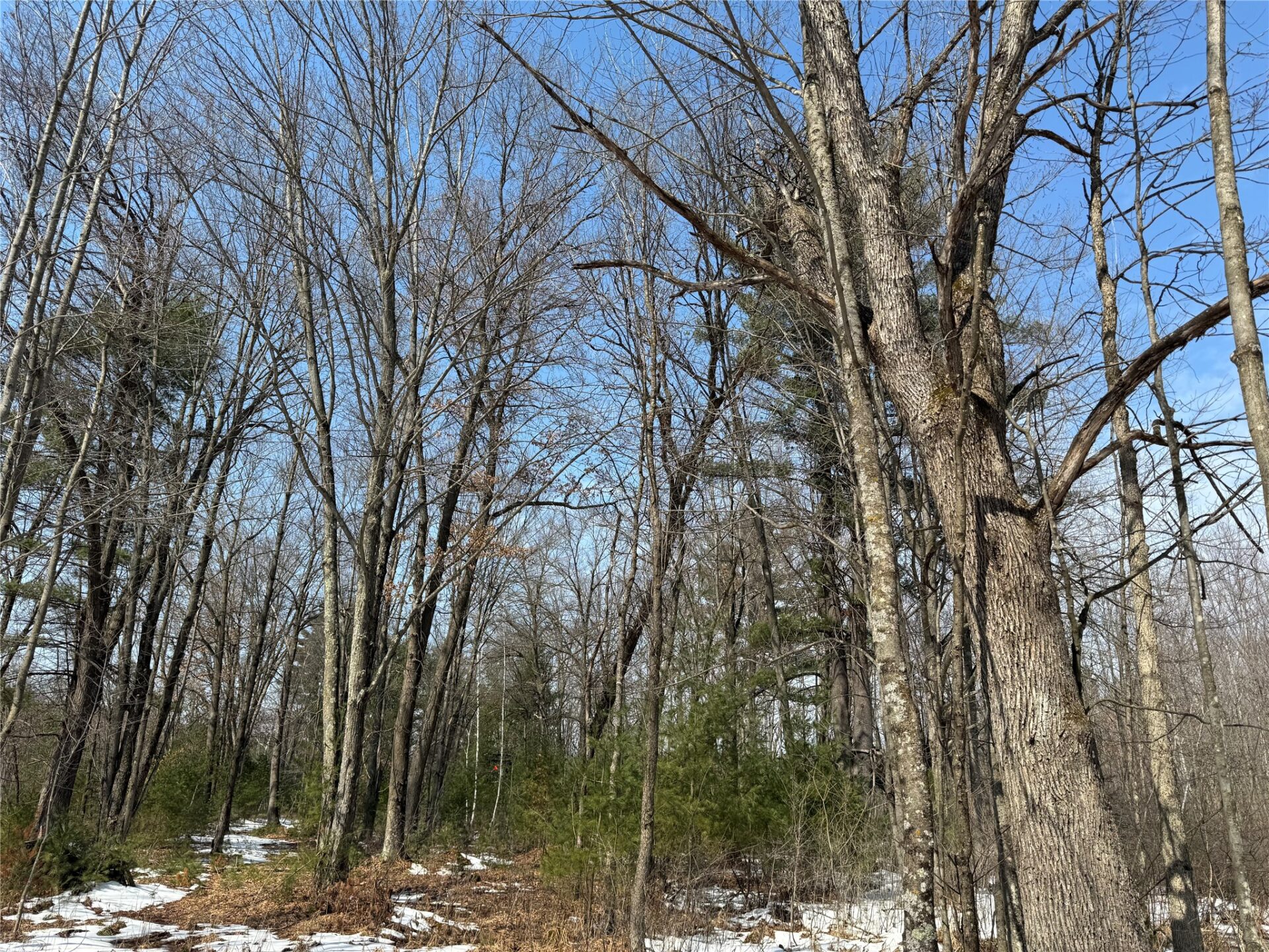 Land at OOO LAKE RD, Clintonville, WI 54929 — photo 17