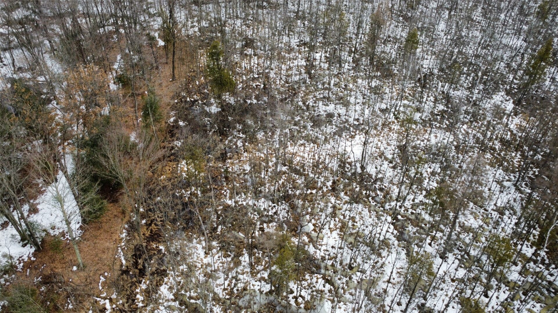 Land at OOO LAKE RD, Clintonville, WI 54929 — photo 18