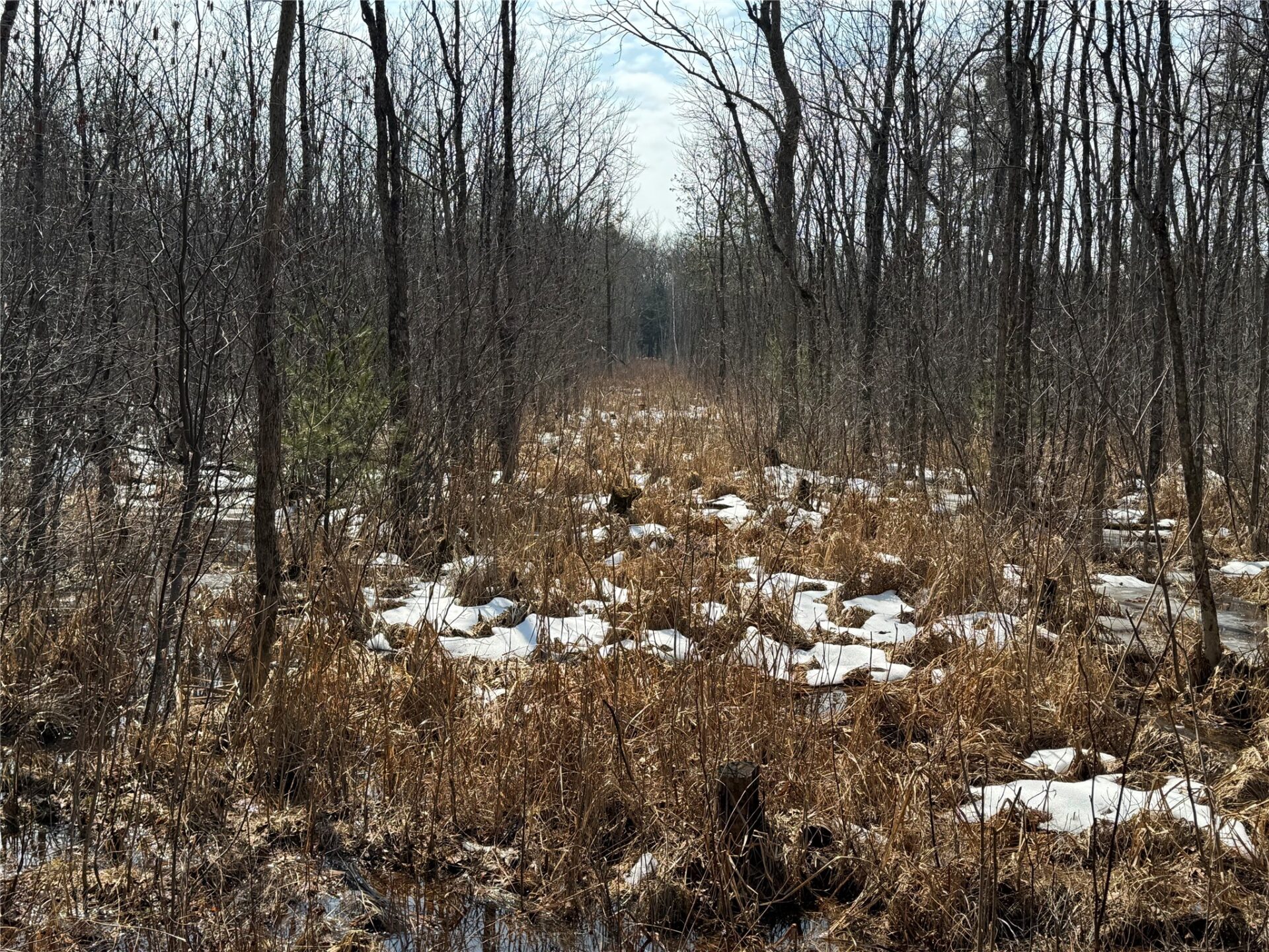 Land at OOO LAKE RD, Clintonville, WI 54929 — photo 22