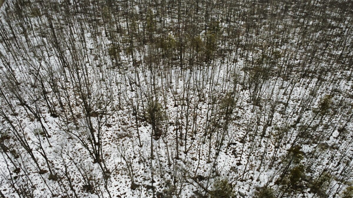 Land at OOO LAKE RD, Clintonville, WI 54929 — photo 23