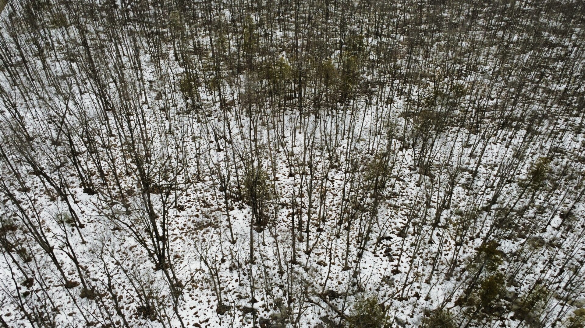 Land at OOO LAKE RD, Clintonville, WI 54929 — photo 23