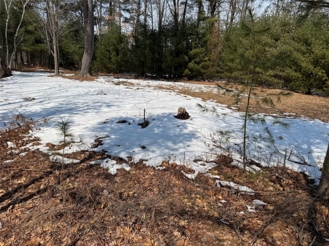 Land at OOO LAKE RD, Clintonville, WI 54929 — photo 24