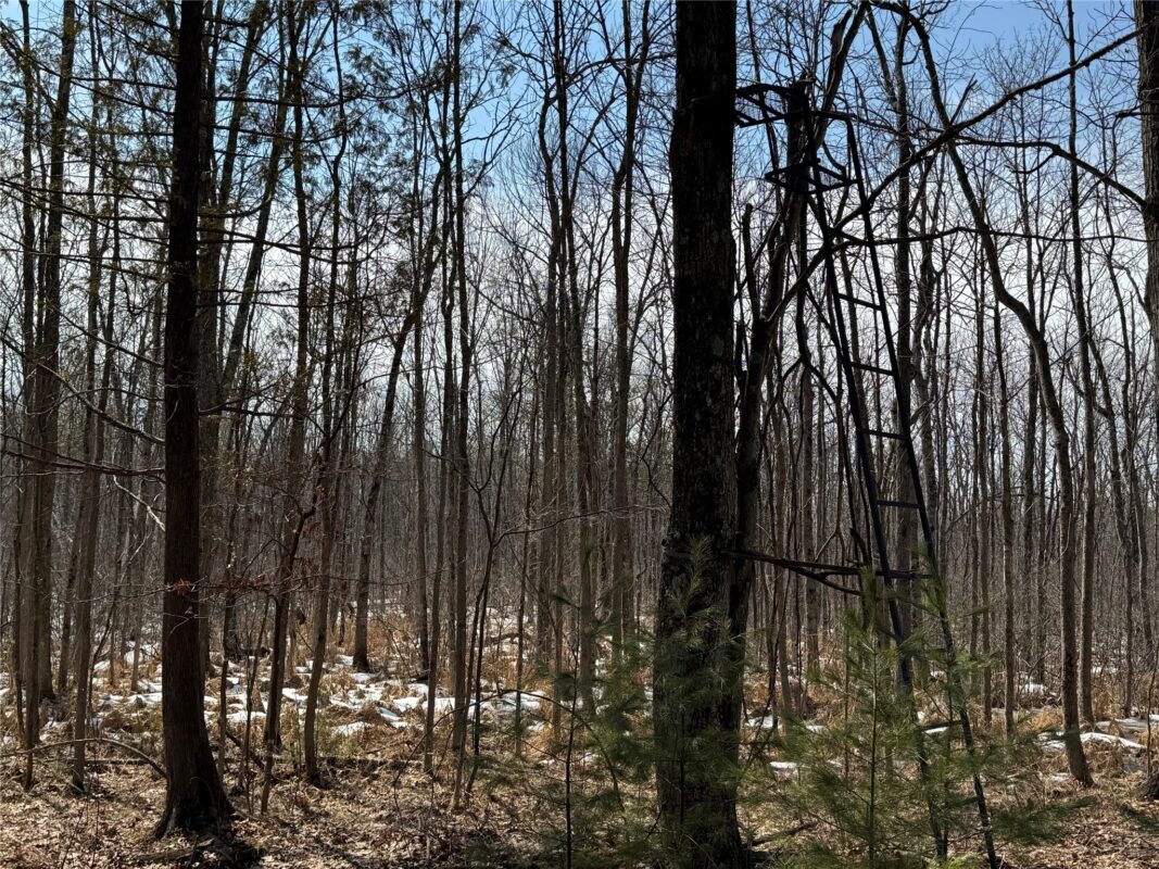 Land at OOO LAKE RD, Clintonville, WI 54929 — photo 26