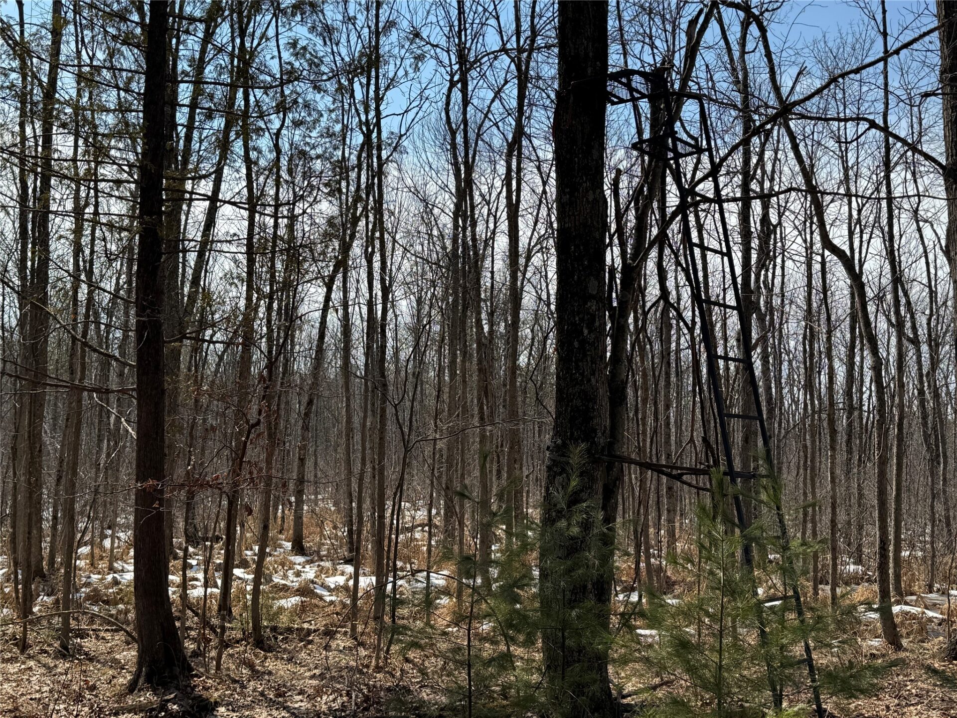 Land at OOO LAKE RD, Clintonville, WI 54929 — photo 26